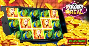 Panduan klaim bonus kera77 untuk dewasa